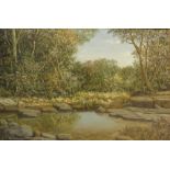 Rural Stream Landscape, 20th century oil on canvas signed by Roy Taylor 50cm x 75.