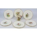 Set of six Royal Worcester sandwich plates individually painted with English birds, signed by A.