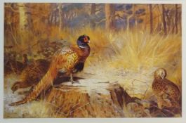 Pheasants in Autumn Woodland Landscape, ltd.ed colour print no.