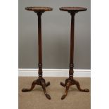 Pair George III style mahogany jardiniere plant stands, shaped tops with pie crust edge,