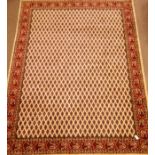 Large Persian Araak style rug carpet, repeating motif field,