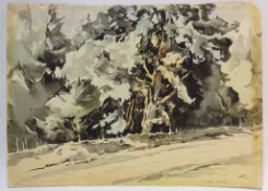 View of a Woodland Path, watercolour signed by Fred Lawson (British 1888-1968) 28.