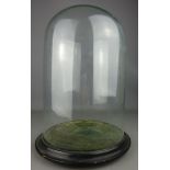 Victorian glass display dome on ebonised base,