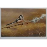 'Long Tailed Tit with Wool', limited edition colour print no.