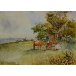 Cattle in a Rural Landscape,