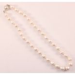 Large freshwater pearl necklace Condition Report <a href='//www.davidduggleby.