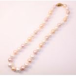 Tri-colour freshwater pearl necklace with 9ct gold clasp Condition Report <a