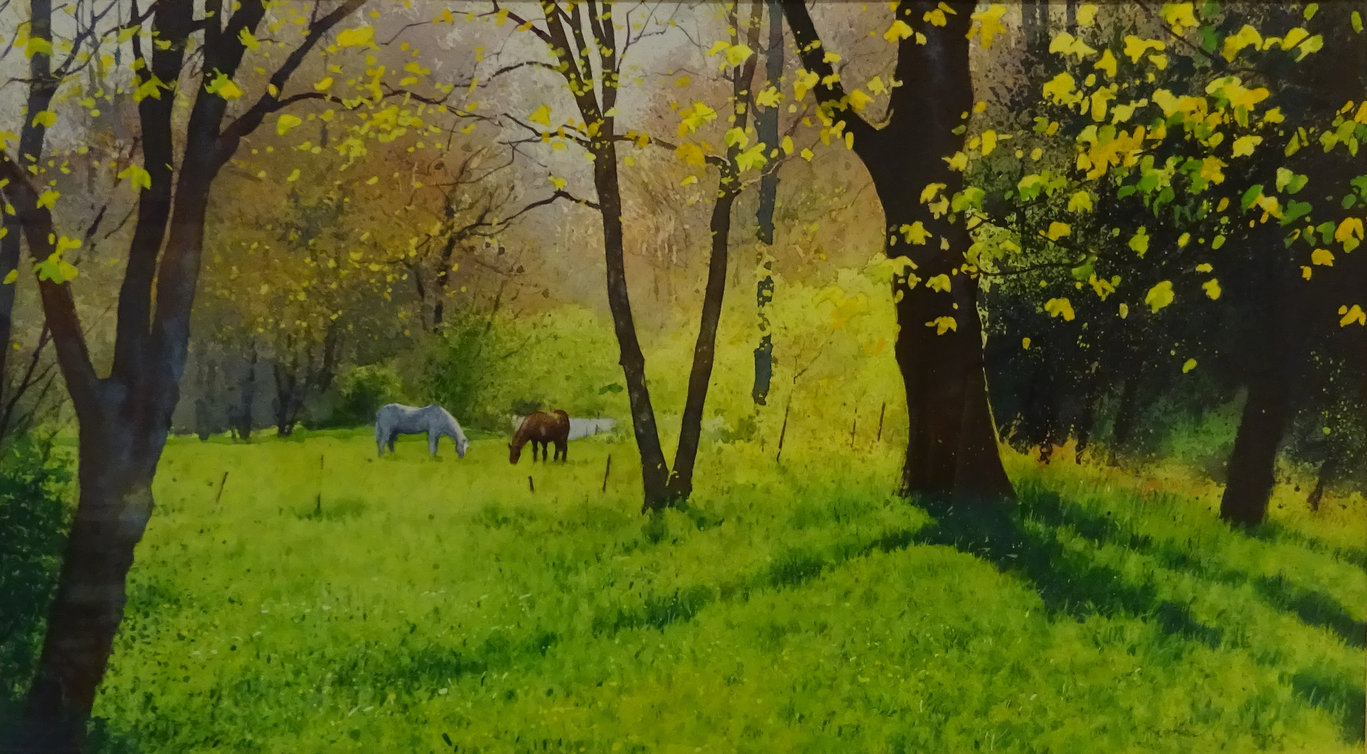 Richard Thorn (British 1952-): Horses Grazing in Woodland,