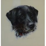 Melanie C Evans (20th century): Study of a Labrador's Head, watercolour signed and dated 1994,