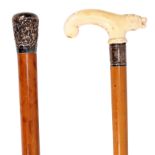 Victorian malacca walking stick, the ivory handle carved with a lion's head,