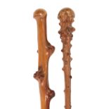 Two 19th/ early 20th century gnarled naturalistic wooden walking canes,