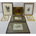 Ducks & Hen by a Pond, colour print in ornate gilt frame, Kestrel and Waxwing,