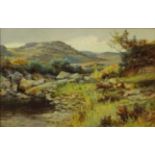 Scottish Highland Burn, 19th century oil on canvas indistinctly signed dated '89,