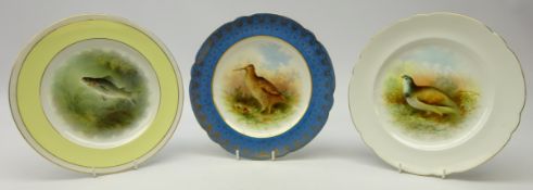 Foley plate hand painted with a Woodcock in a blue & gilt border, D22.