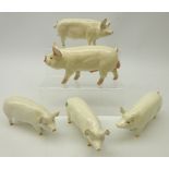 Five Beswick pig models, 'Middle White Boar',