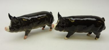 Two Beswick 'Berkshire Boar' models (2) Condition Report Both in good condition.