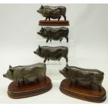 Five Royal Doulton 'Vietnamese Pot Belly Pigs',