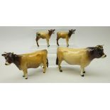 Beswick Jersey cattle; 'Dunsley Coy Boy',