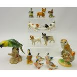 Beswick models; Parakeet no.