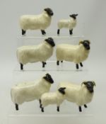 Five Beswick rams and two lambs (7) Condition Report End of horn missing on ram.