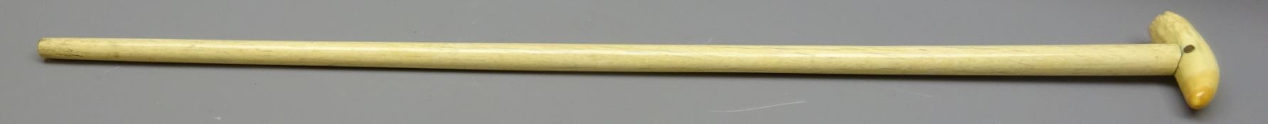 Victorian whalebone Walking stick with polished tooth handle,