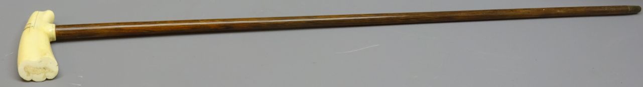 Palm wood Walking stick with walrus ivory handle, metal ferrule,