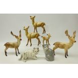 Two Beswick stags,