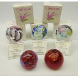 Five Caithness paperweights; 'Day Dreams', 'Vortice', two 'Ribbons' & 'Flamenco',