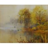 Mallards Flying over a Lake on a Misty Morning,