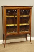 Edwardian mahogany display cabinet, moulded rectangular top above two astragal glazed doors,