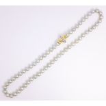 Single string of grey pearls,