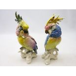 Pair Karl Ens Volkstedt porcelain Cockatoos, H28cm (2) Condition Report No damage.