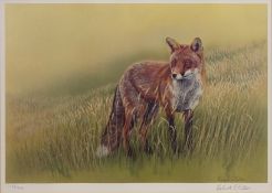 Fox in a Field, limited edition colour print No.