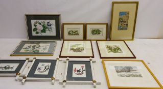 Collection of Still Life of Flowers including Baxter prints by Kronheim, Butterflies and Flowers,