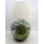 Glass Demi John converted to a table lamp with closed terrarium,