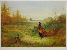 'Watched from Afar' - Pheasants, limited edition colour print No.