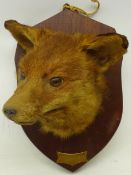 Fox mask, on shaped shield, plaque inscribed 14-3-70,
