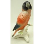 Karl Ens model of a Love Bird, perched on branch, H15.
