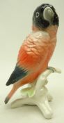 Karl Ens model of a Love Bird, perched on branch, H15.