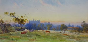 Cattle Grazing with Townscape in the Background,