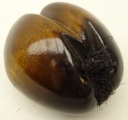 Small Polished Coco de Mer, L14cm x W12cm Condition Report <a href='//www.