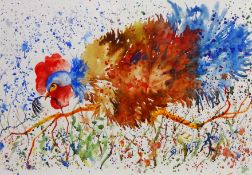 Cockerel, watercolour signed by Shirley Davies Dew (British Contemporary) 34.5cm x 49.