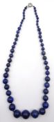 Graduating lapis lazuli bead necklace max bead width 1.