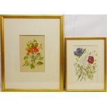 Still Life of Flowers, two early 20th botanical watercolours unsigned 28cm x 18cm and 26.5cm x 18.