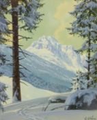 Winter Mountain Scene,