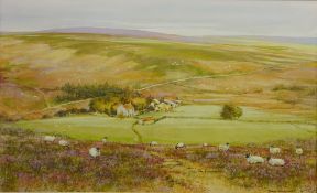 Sheep and Houses in North Yorkshire Moors,