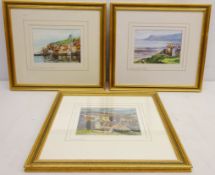 'Robin Hood's Bay', 'Lower Harbour Whitby' and 'Goathland',