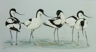 'Avocets', watercolour and gouache signed by Jan Ferguson,