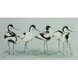 'Avocets', watercolour and gouache signed by Jan Ferguson,