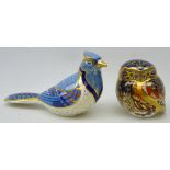 Two Royal Crown Derby paperweights, 'blue jay' and 'little owl', boxed,